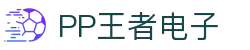 PP王者电子 最佳博彩软件